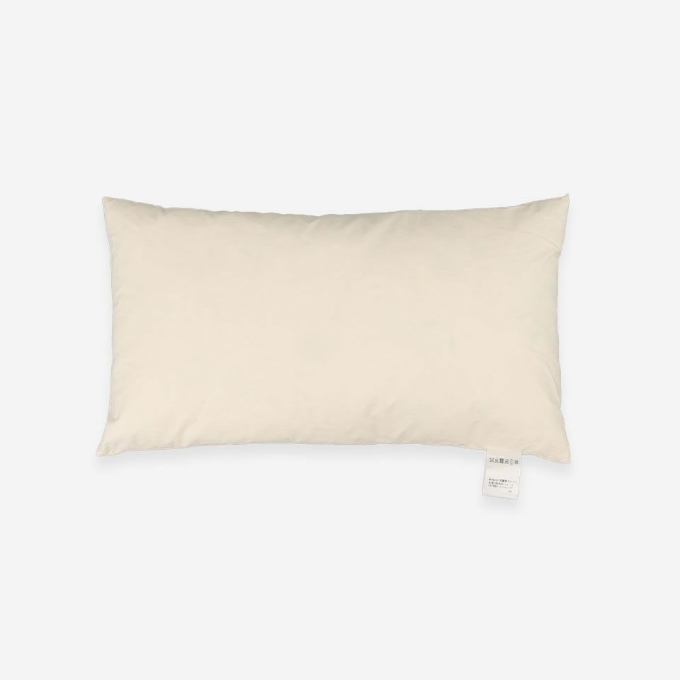 正面画像／45cm×25cm