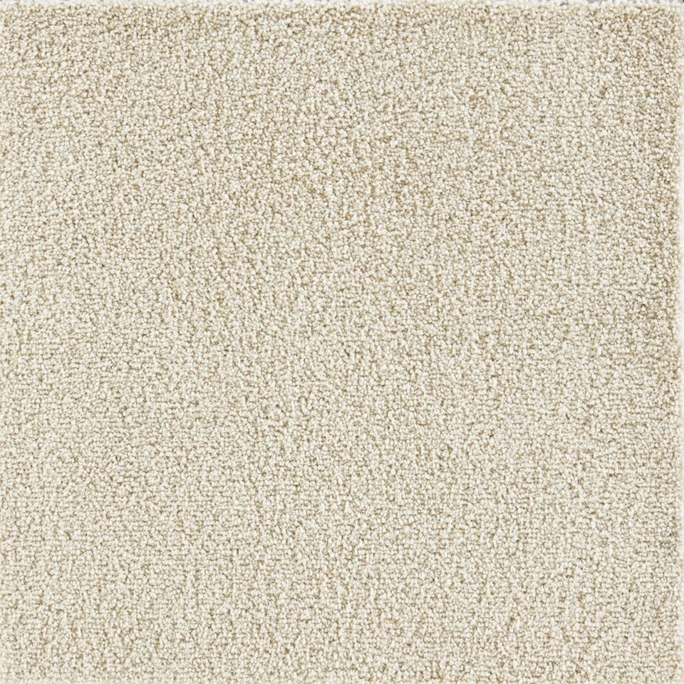 表面／カラー：アイボリー／50cm×50cm