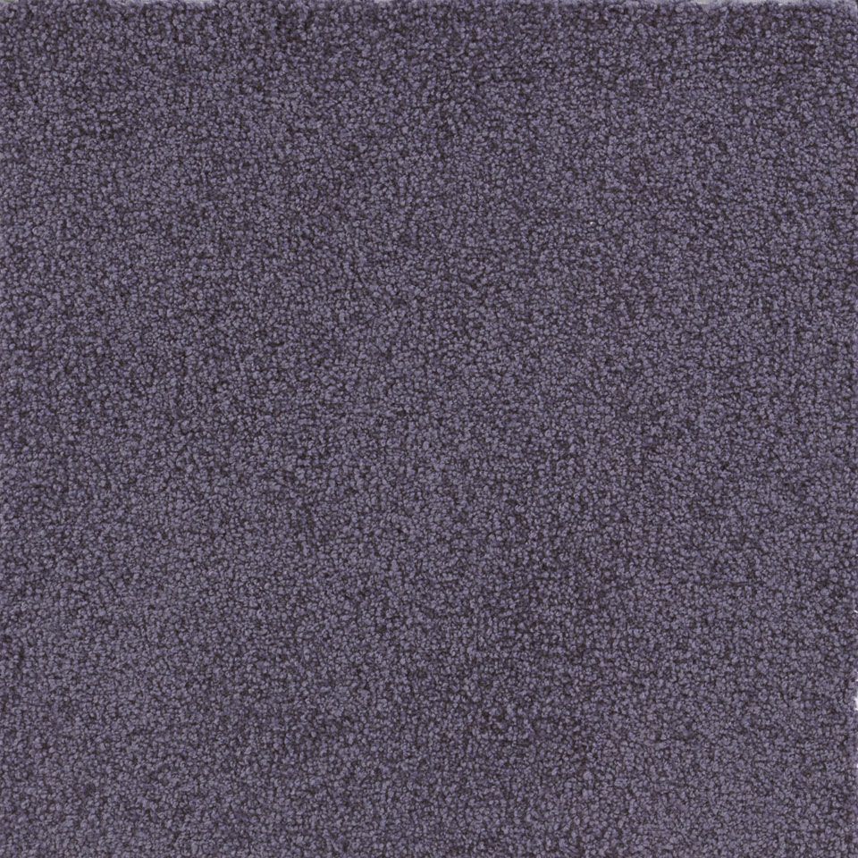 表面／カラー：パープル／50cm×50cm