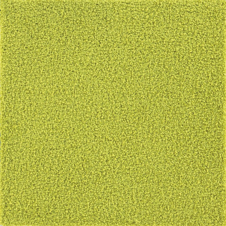 表面／カラー：イエローグリーン／50cm×50cm
