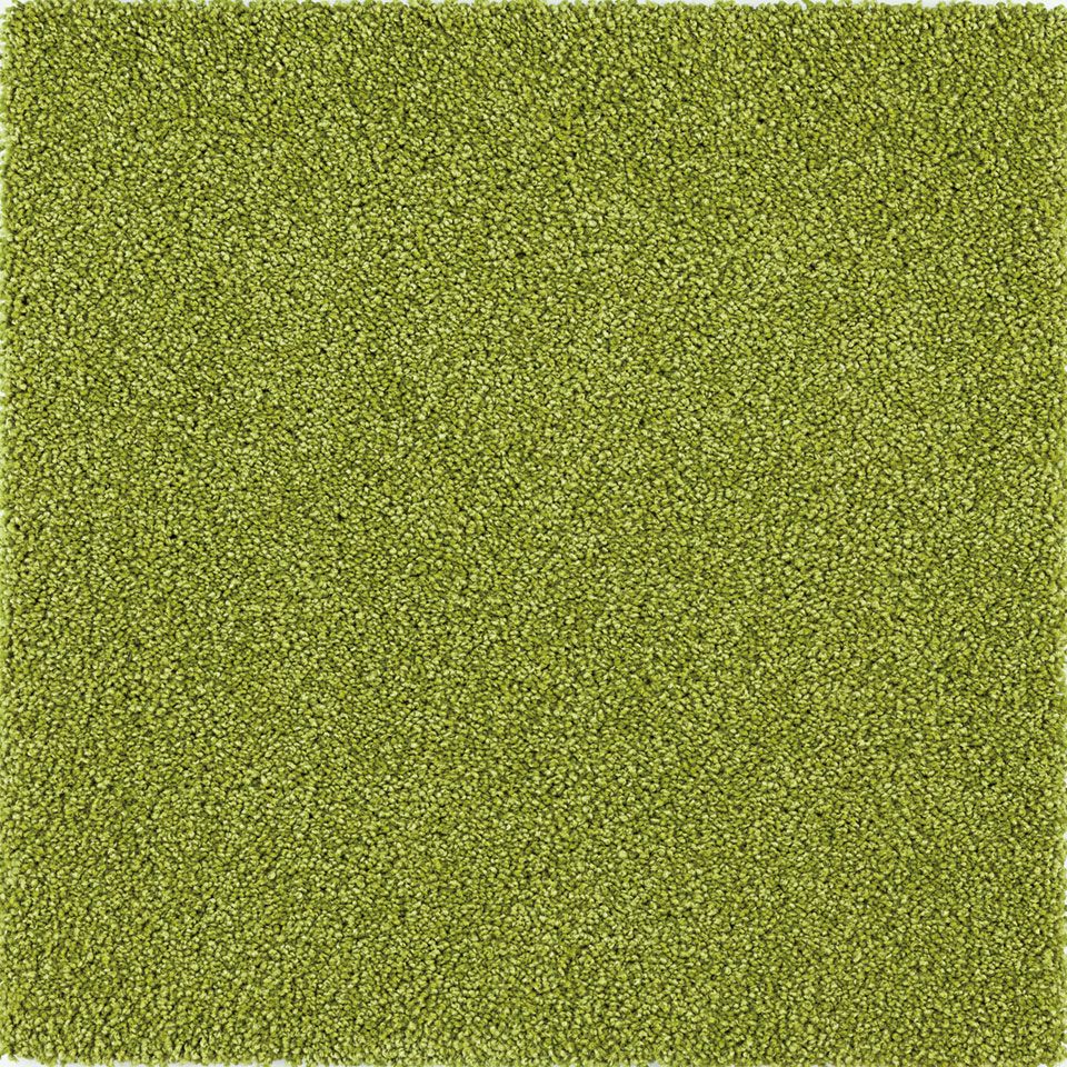表面／カラー：オリーブ／50cm×50cm