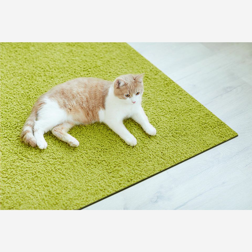 ペットに最適／厚みもあるため遮音効果もあり、犬猫の滑り止め効果があります