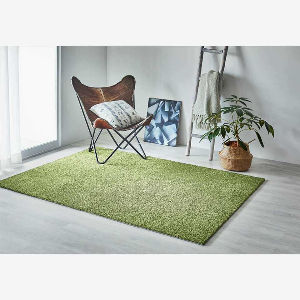 オリーブ12枚使用