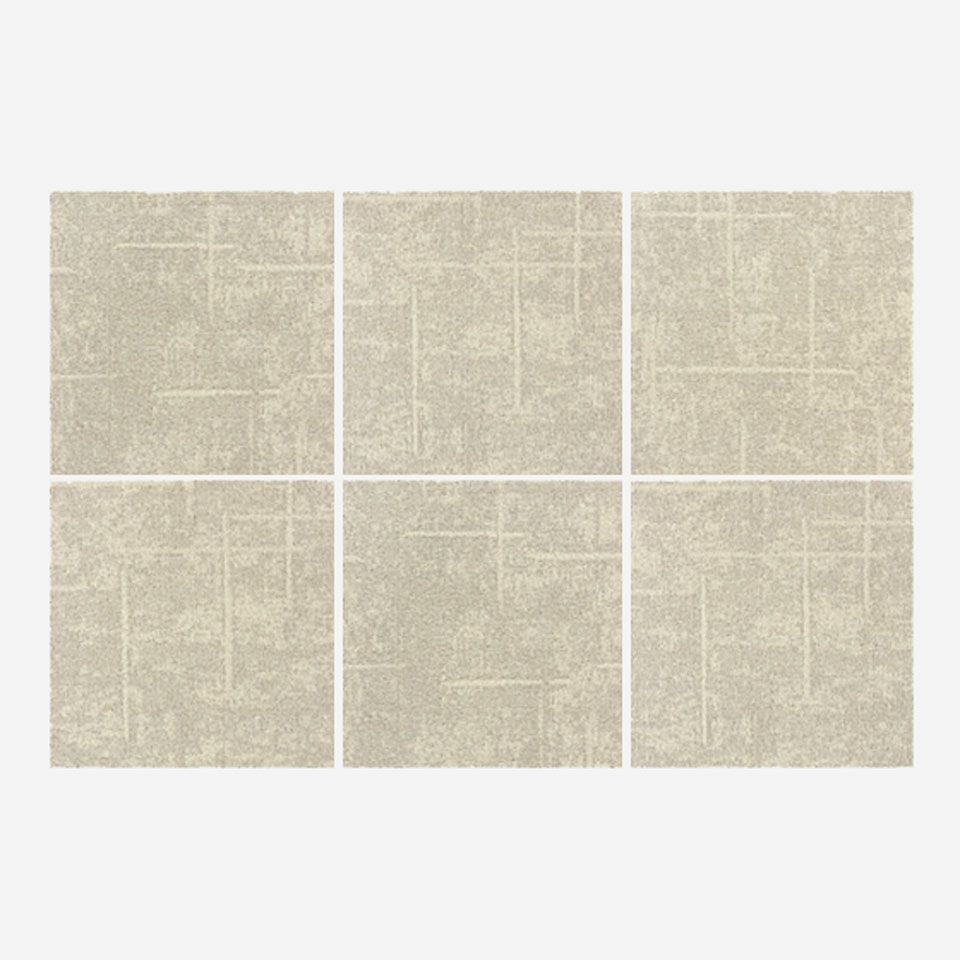 1ケース 6枚分の大きさになります