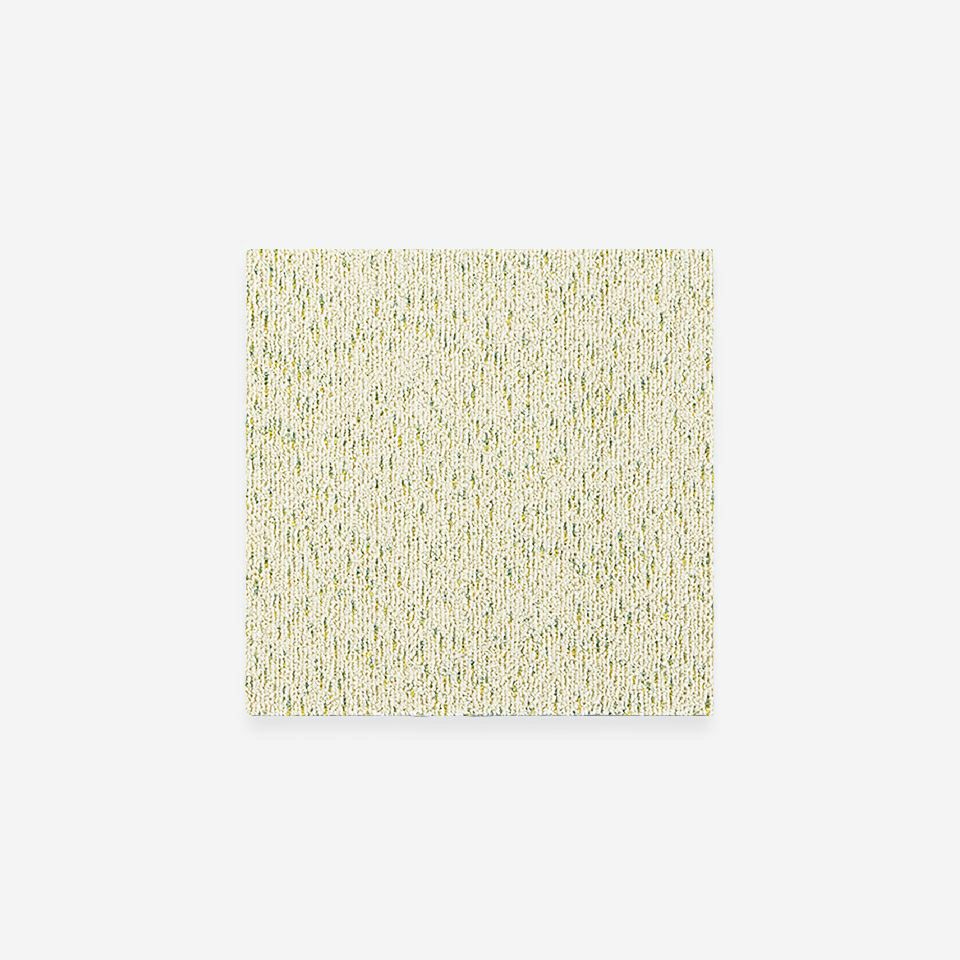 表面／淡色／50cm×50cm