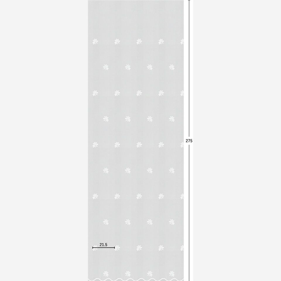 生地リピート画像